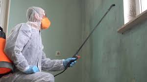  Cheyenne, WY Mold Remediation Pros