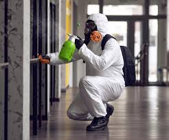 Trusted Cheyenne, WY Mold Remediation Experts